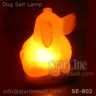 Himalayan salt lamp dog best sale